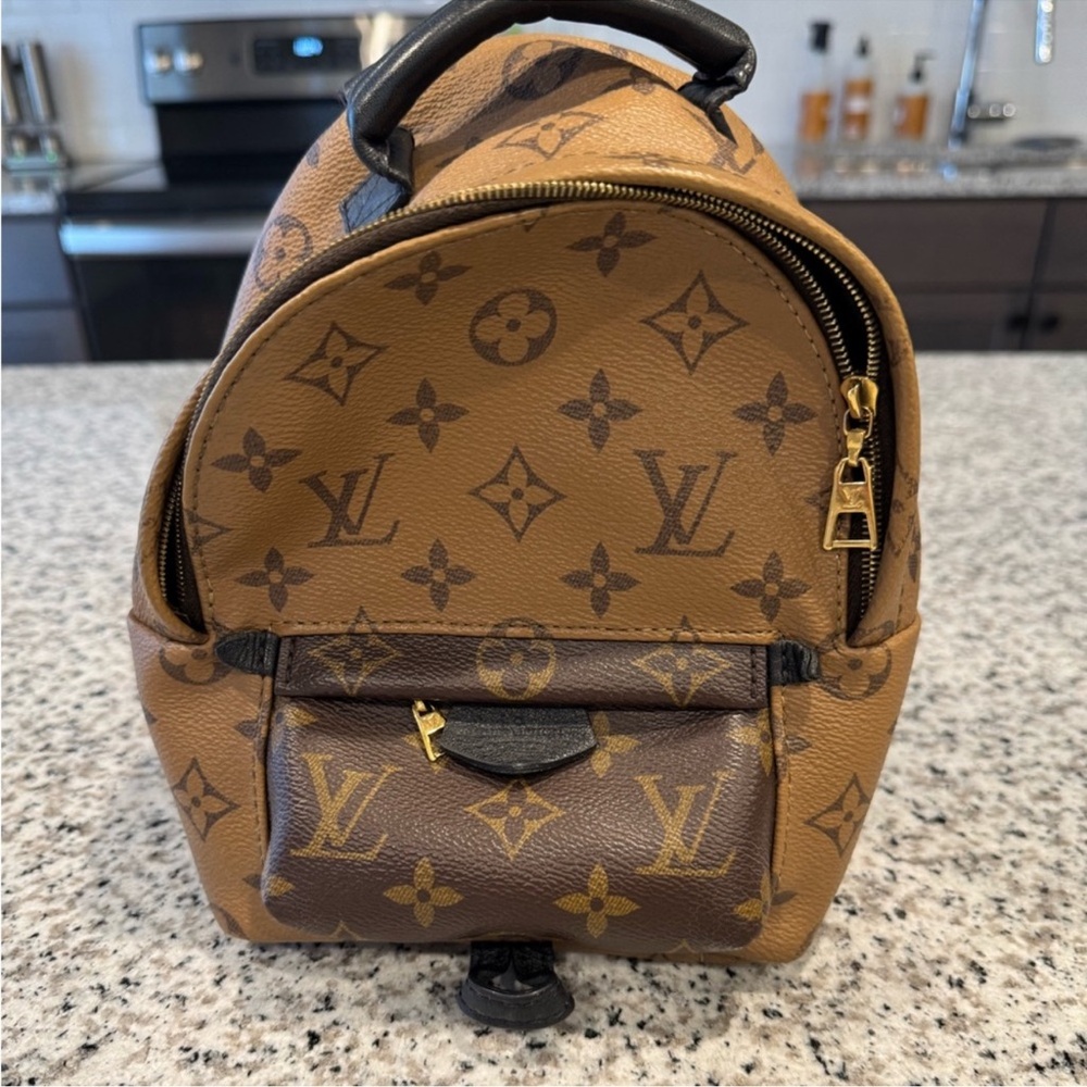 Louis Vuitton Palm Springs Pm